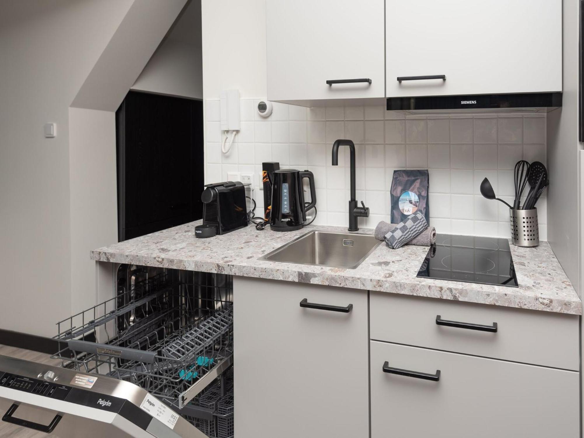 Luxury Apartment In Renesse With Infrared Sauna Extérieur photo